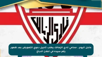 عاجل اليوم.. محامي نادي الزمالك يطلب تأجيل دعوى التعويض بعد ظهور رقم سيدة في إعلان الدباغ